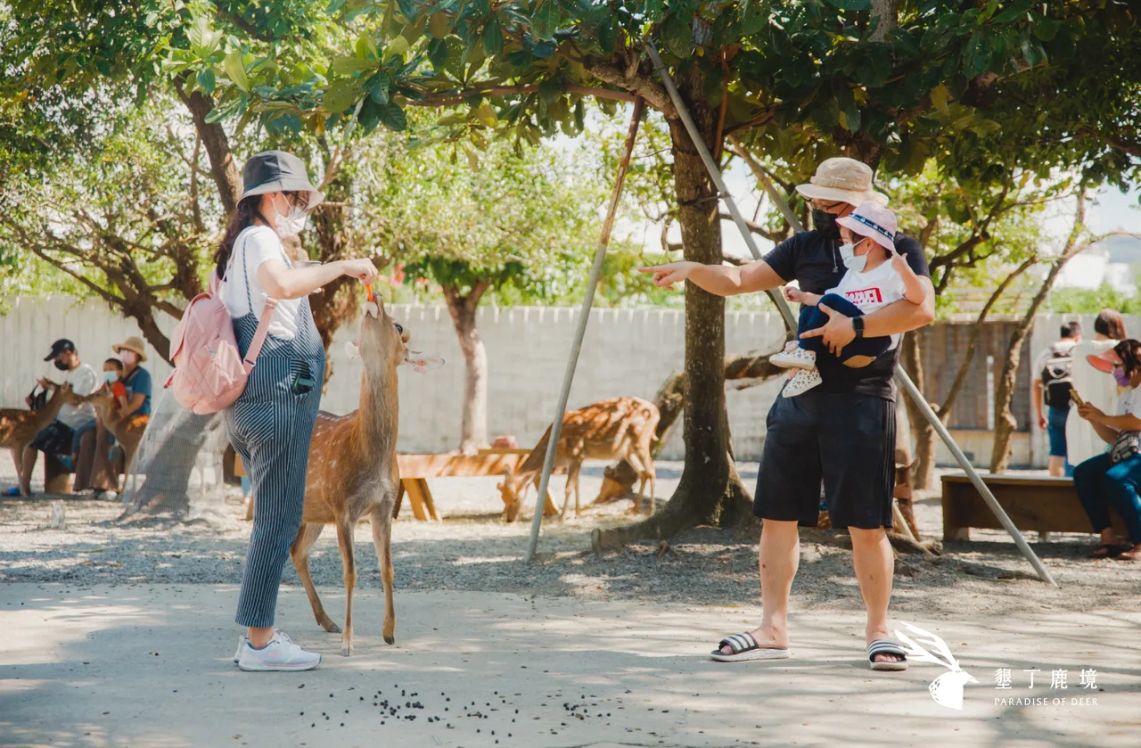 Paradise of Deer Ticket in Kenting Pingtung