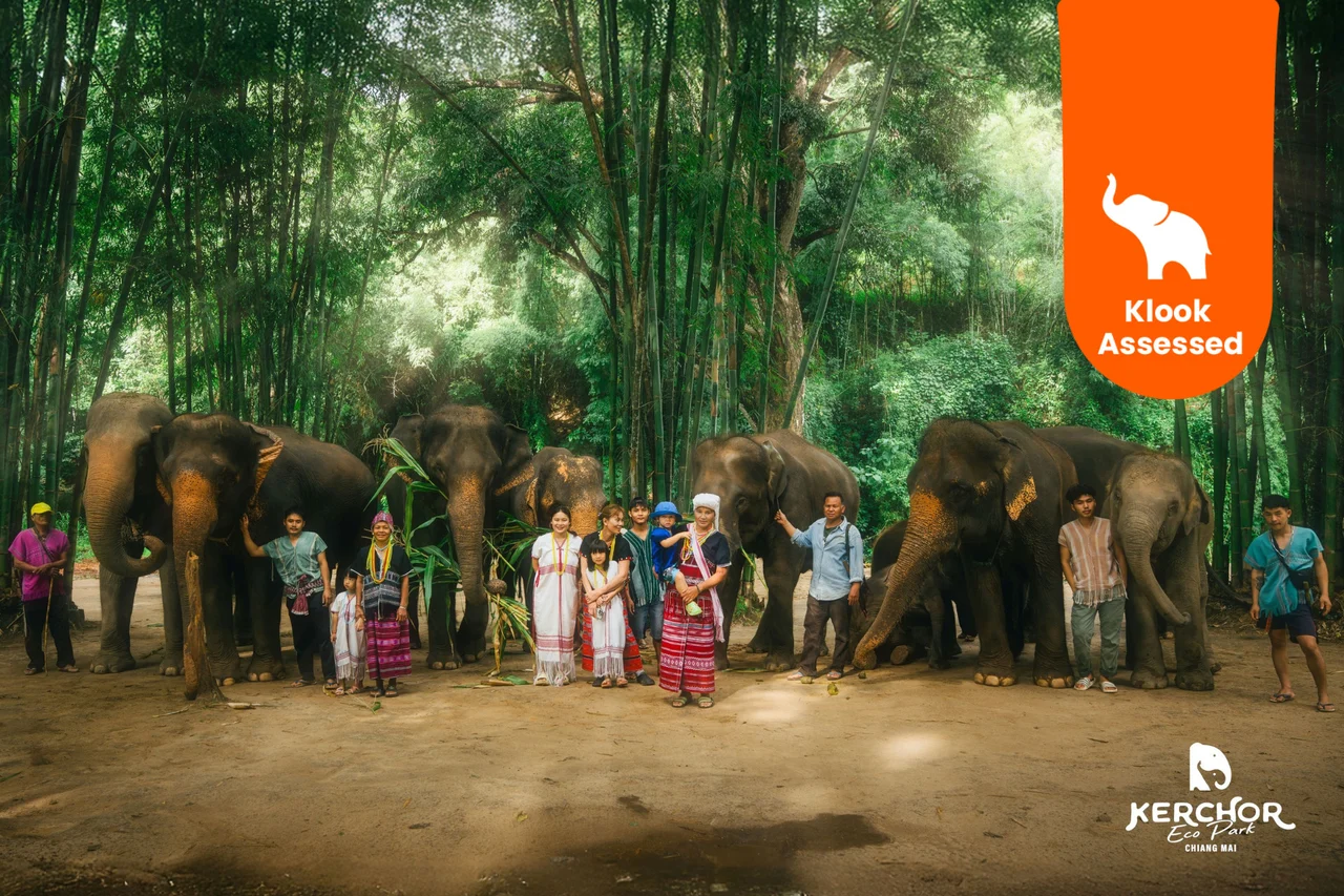 Chiang Mai Kerchor Elephant Eco Park Tour (from Chiang Mai)