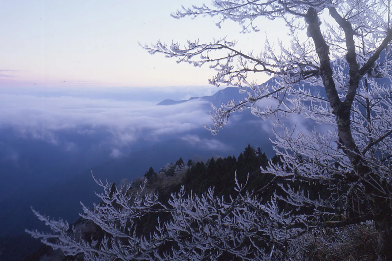 Taipingshan National Forest Recreation Area Ticket in Yilan