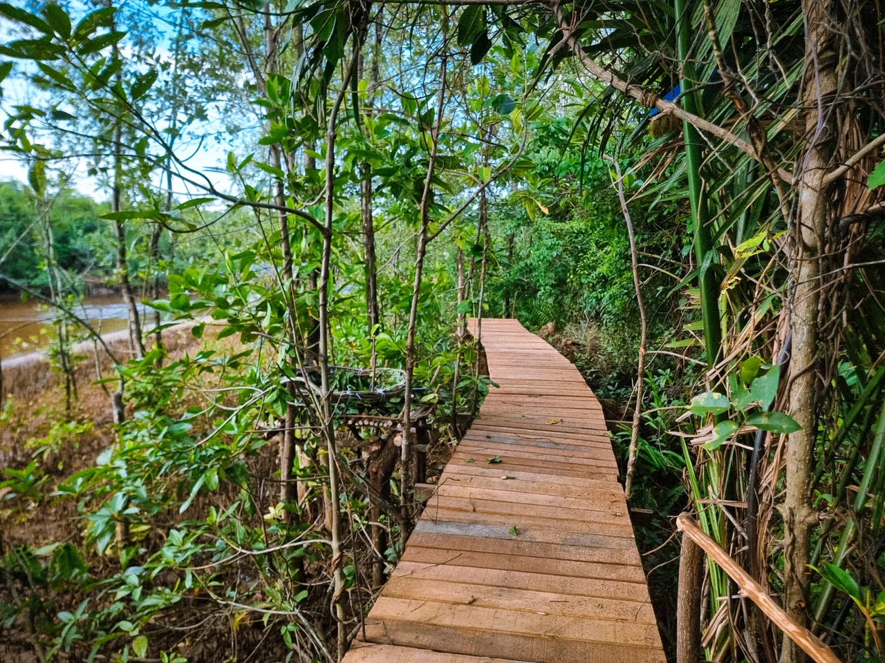 Bongawan Mangrove River Cruise & Fireflies with Infinity Dream Beach Sunset Tour