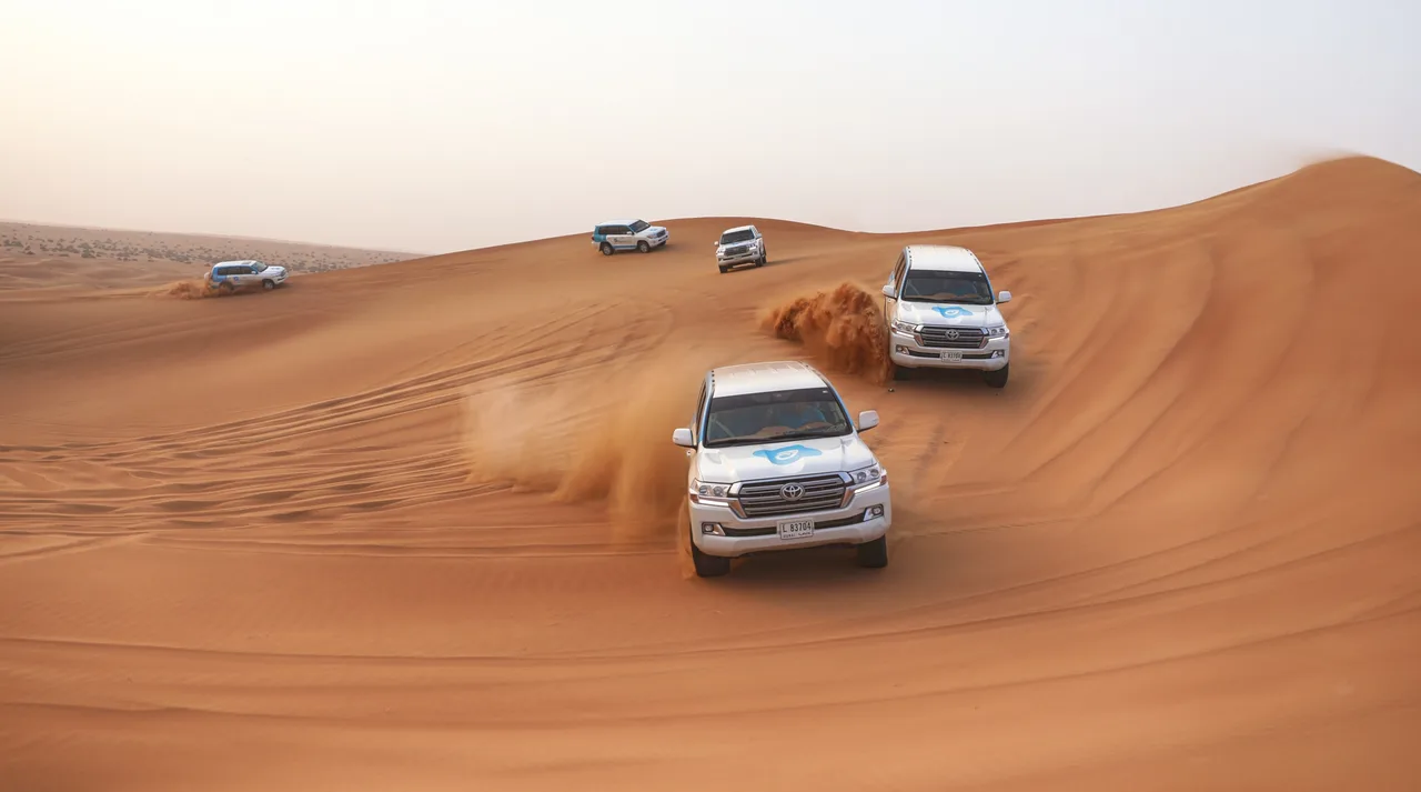 Premium Desert Safari - Morning, Evening & Overnight at Al Khayma