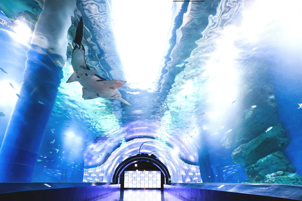 Maxell Aqua Park Shinagawa Ticket