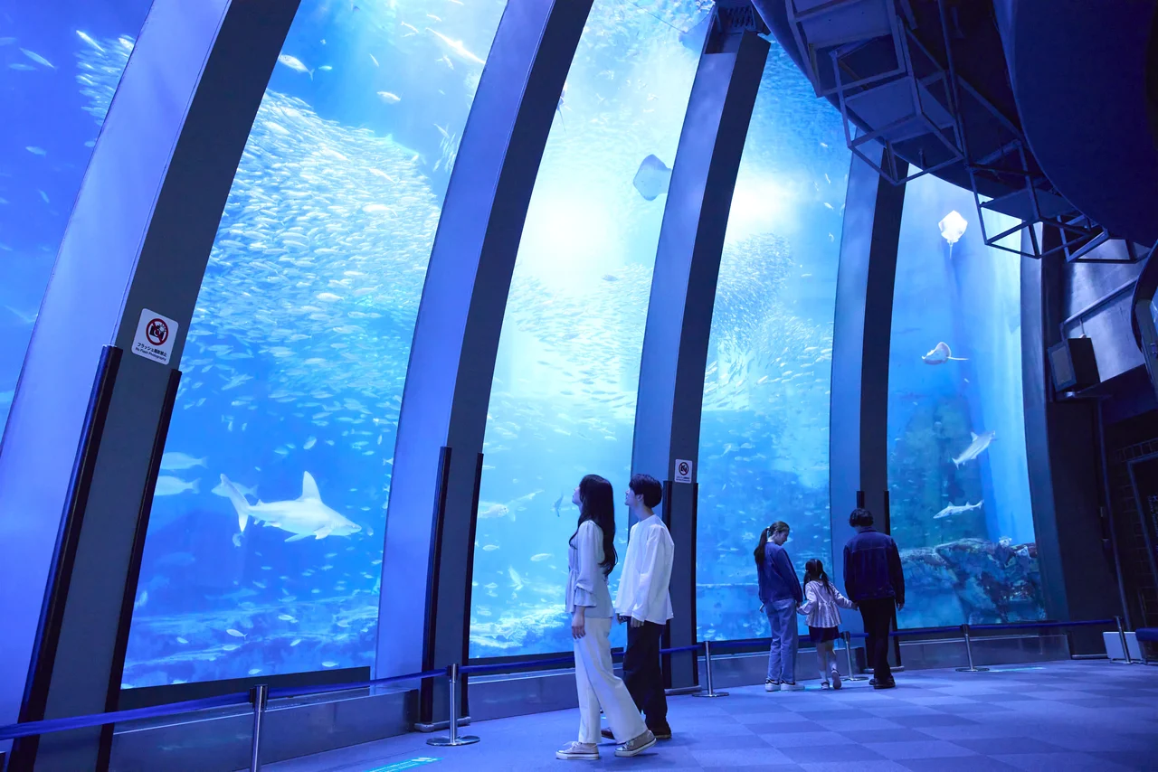 Yokohama Hakkeijima Sea Paradise Ticket