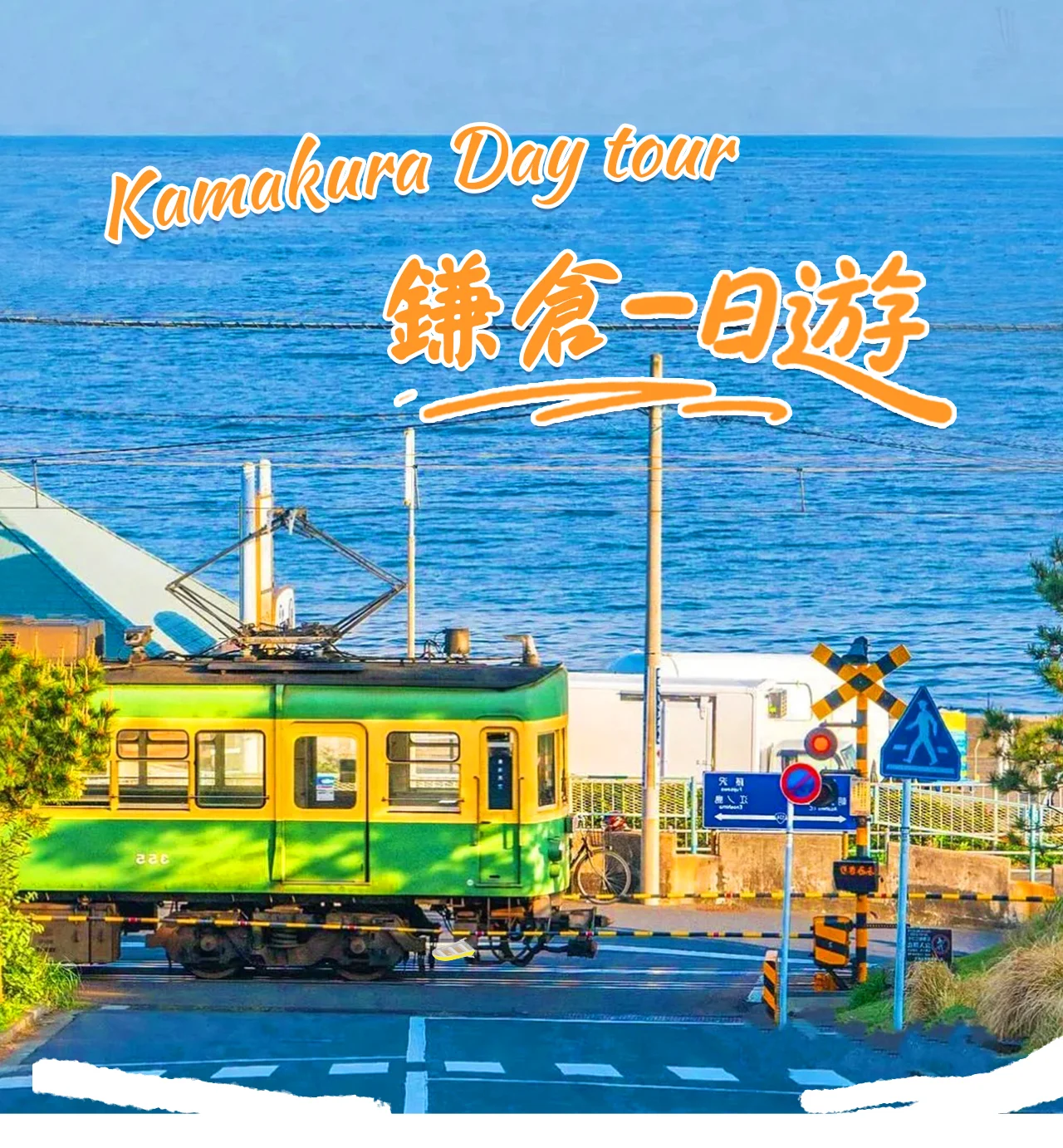 Kamakura | Great Buddha & Tsurugaoka Hachimangu Shrine & Enoshima Benzaiten Nakamise-dori Street & Kamakura High School Day Trip | Departs from Tokyo
