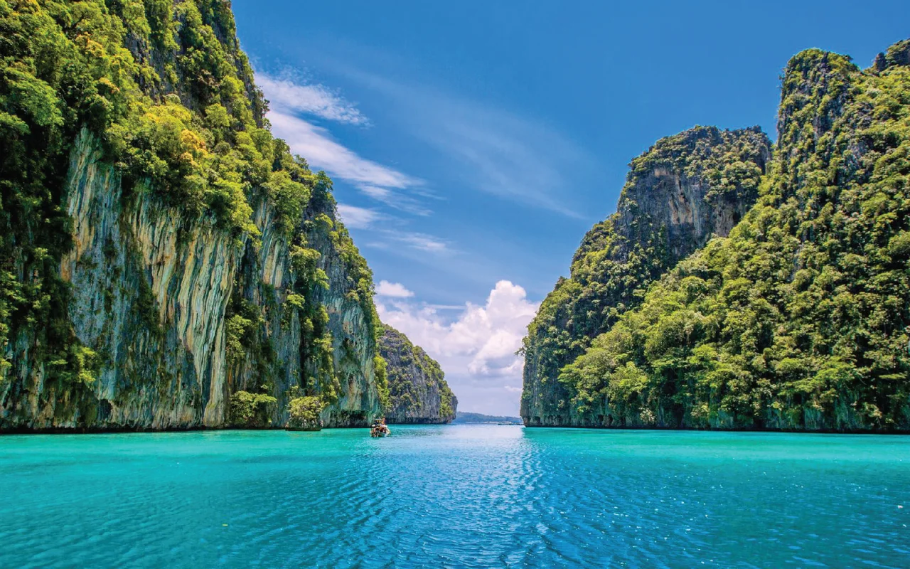 Phi Phi Island, Maya Island and Bamboo Island Speedboat Day Tour