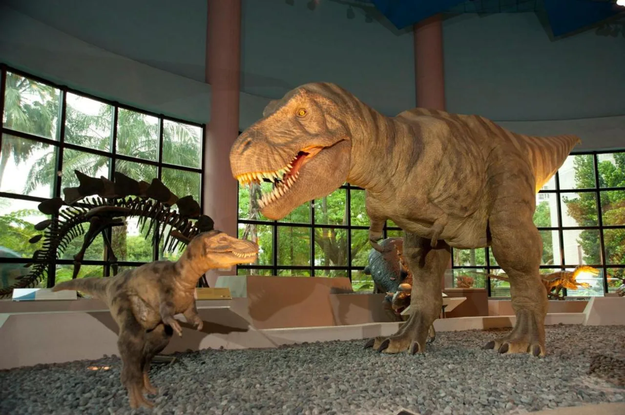 National Museum of Natural Science Ticket and Combo Ticket 