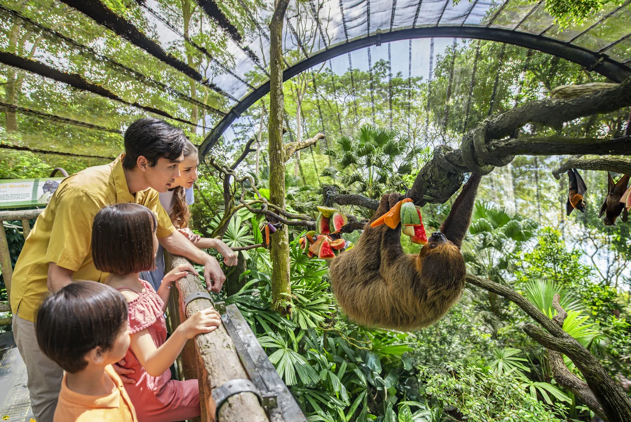 Singapore Zoo Ticket | Mandai Wildlife Reserve, Singapore