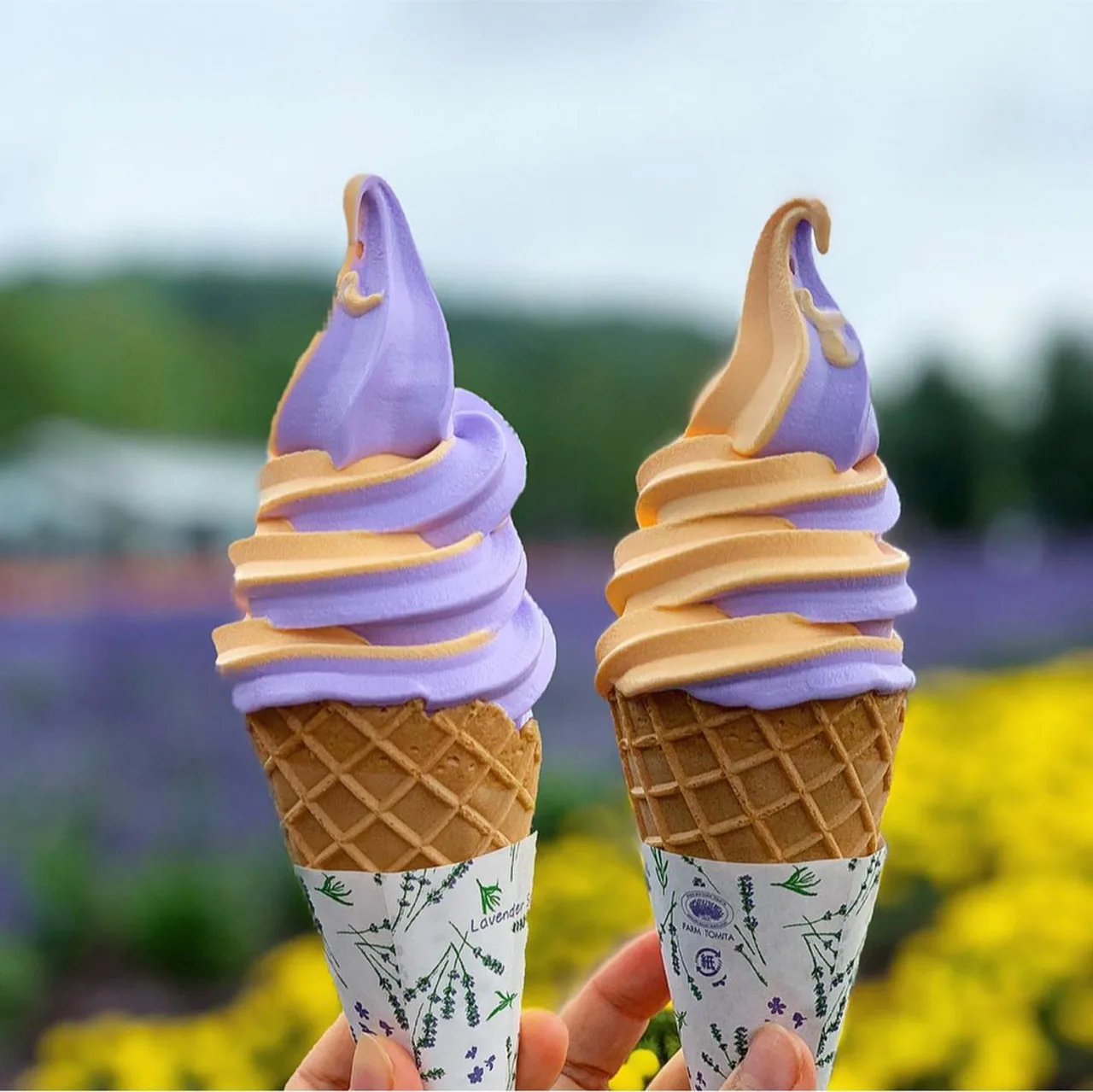【Hokkaido Summer Flower Viewing】Shikisai no Oka & Farm Tomita & Blue Pond & Waterfall & Patchwork Tour Day Trip | Departing from Sapporo