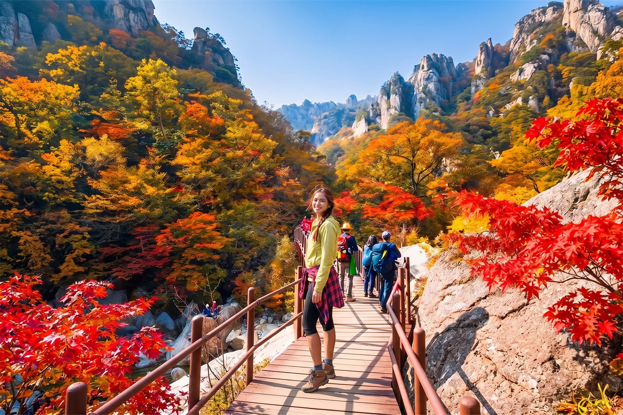 Nami Island & Mt.Seorak & Alpaca Seasonal Tour