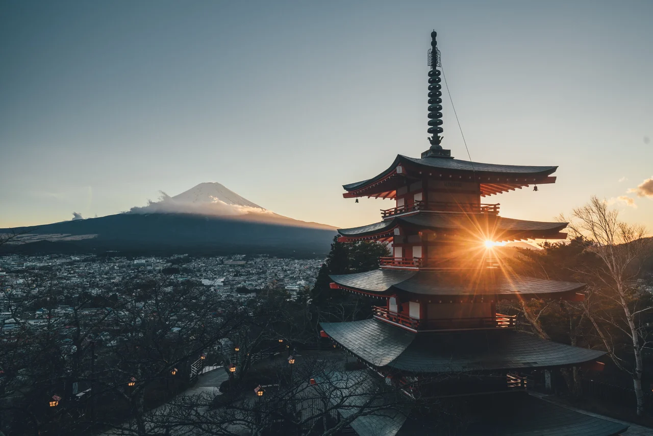 Mt. Fuji Day Tour: Flower Sightseeing & Outlet Shopping from Tokyo