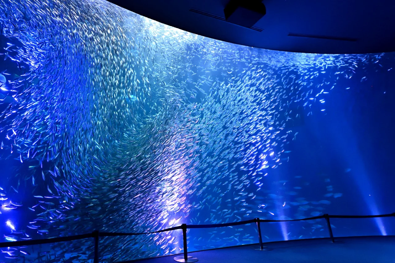 Port of Nagoya Public Aquarium Ticket
