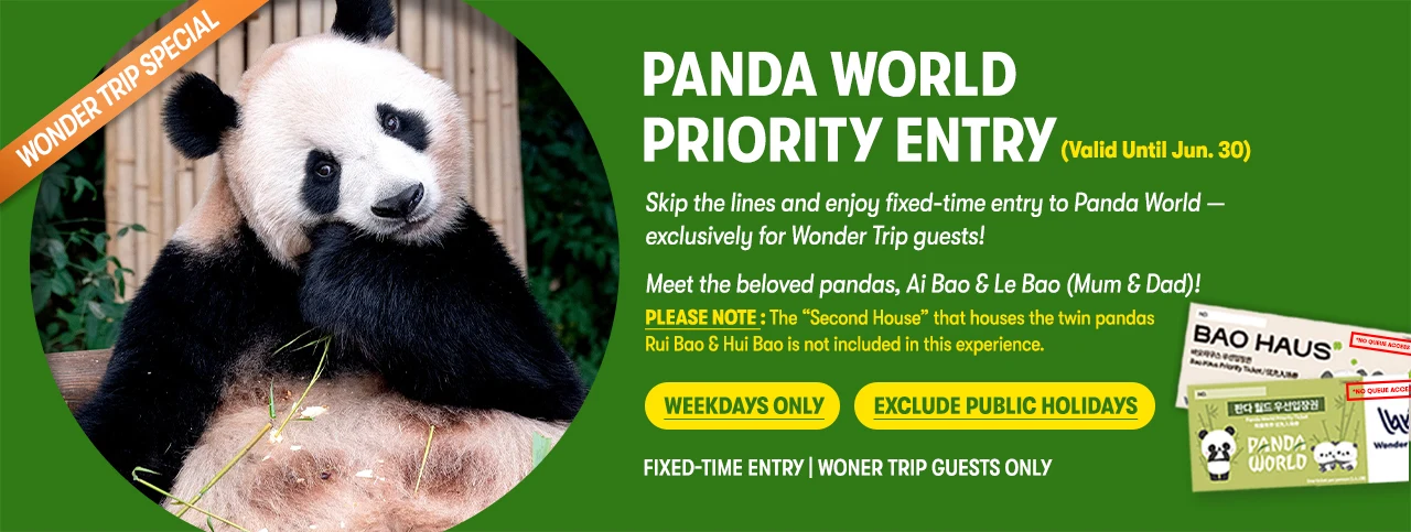 Everland Tour with Shuttle: Fast Panda World Entry (Ends 30/6)