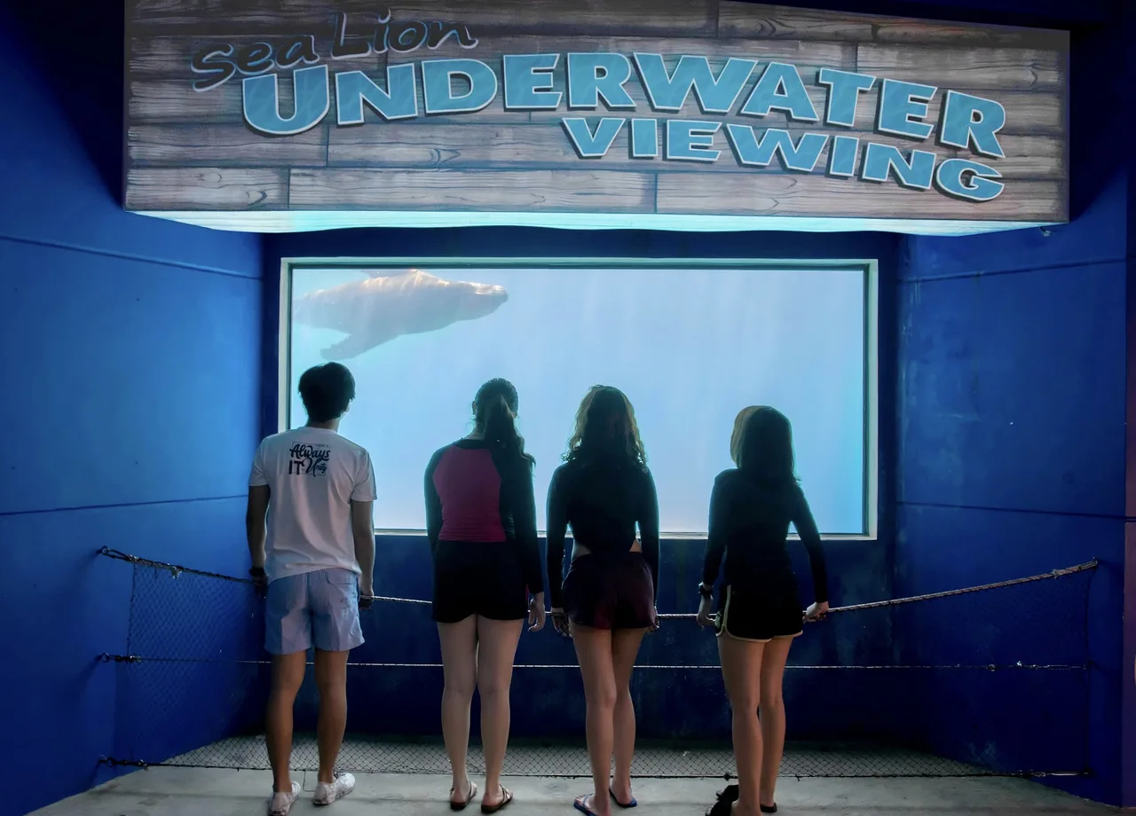 Ocean Adventure Ticket in Subic