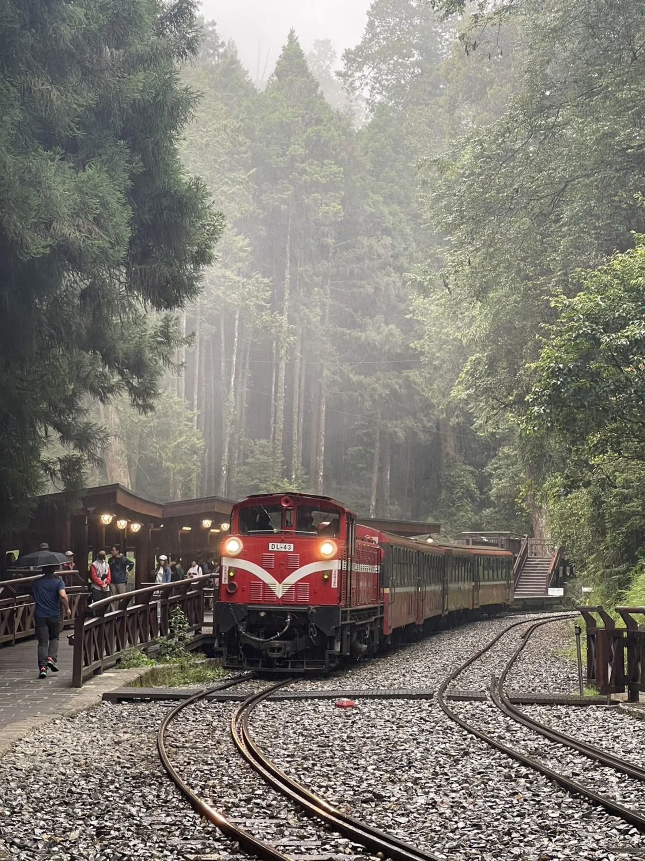 Alishan & Fenqihu One-Day Tour (Taichung City pick-up)